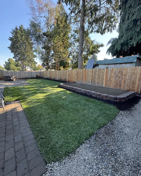 Backyard dirt to new lawn, after