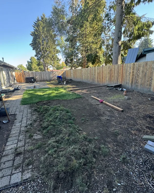 Backyard dirt to new lawn, before