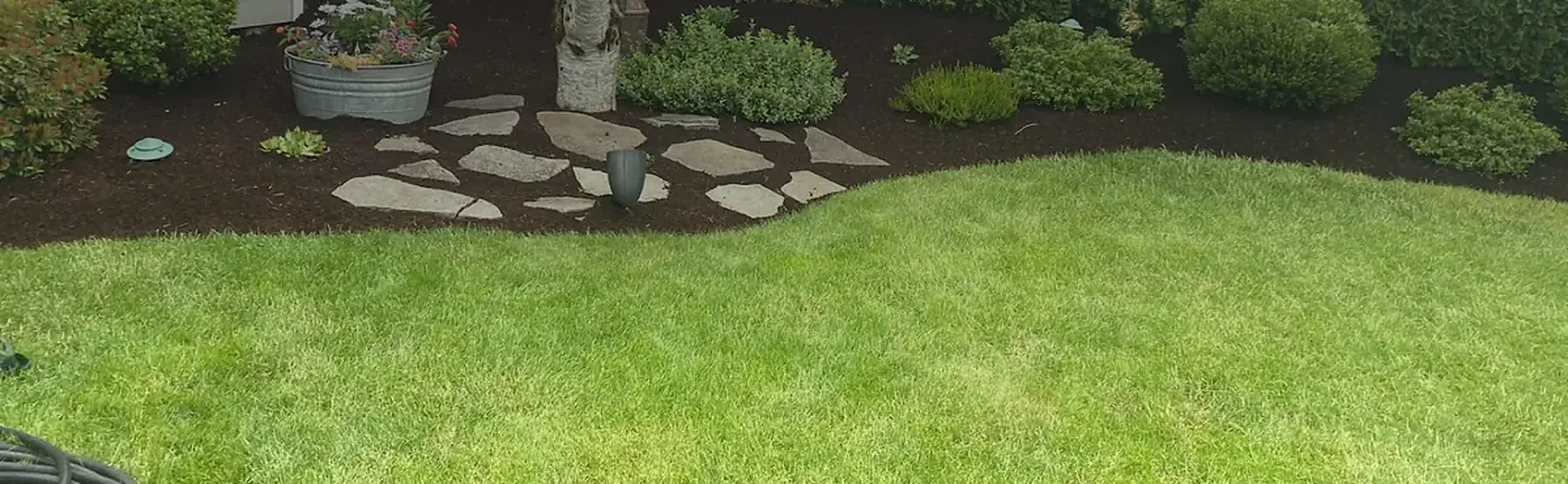 Front yard cleaned up by Jose's Lawn Services