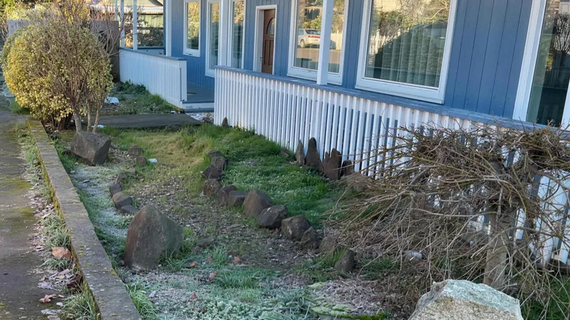 Front bed in Salem choked with grass and weeds before a cleanup by Jose's Lawn Services