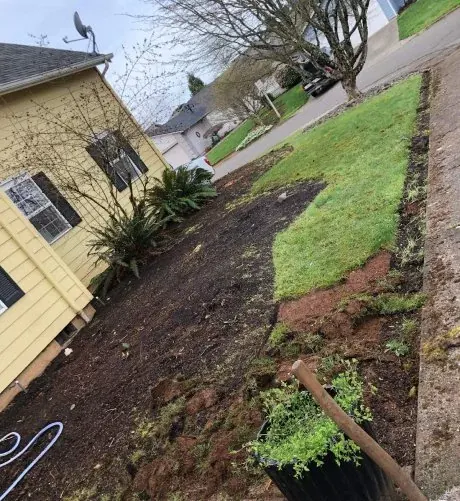 Freshly cleaned beds and a crisp lawn edge