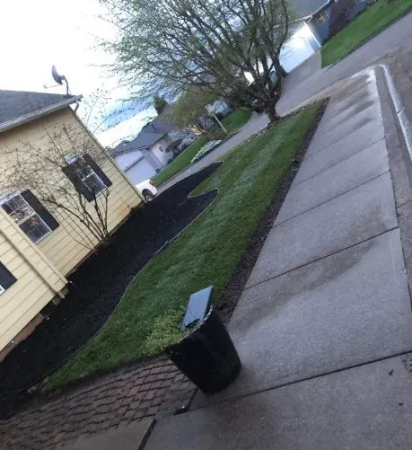 Front yard beds cleaned and edged