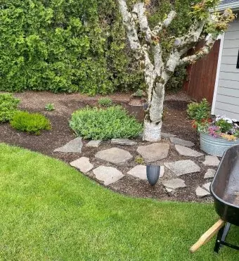 Bed cleanup around a birch tree