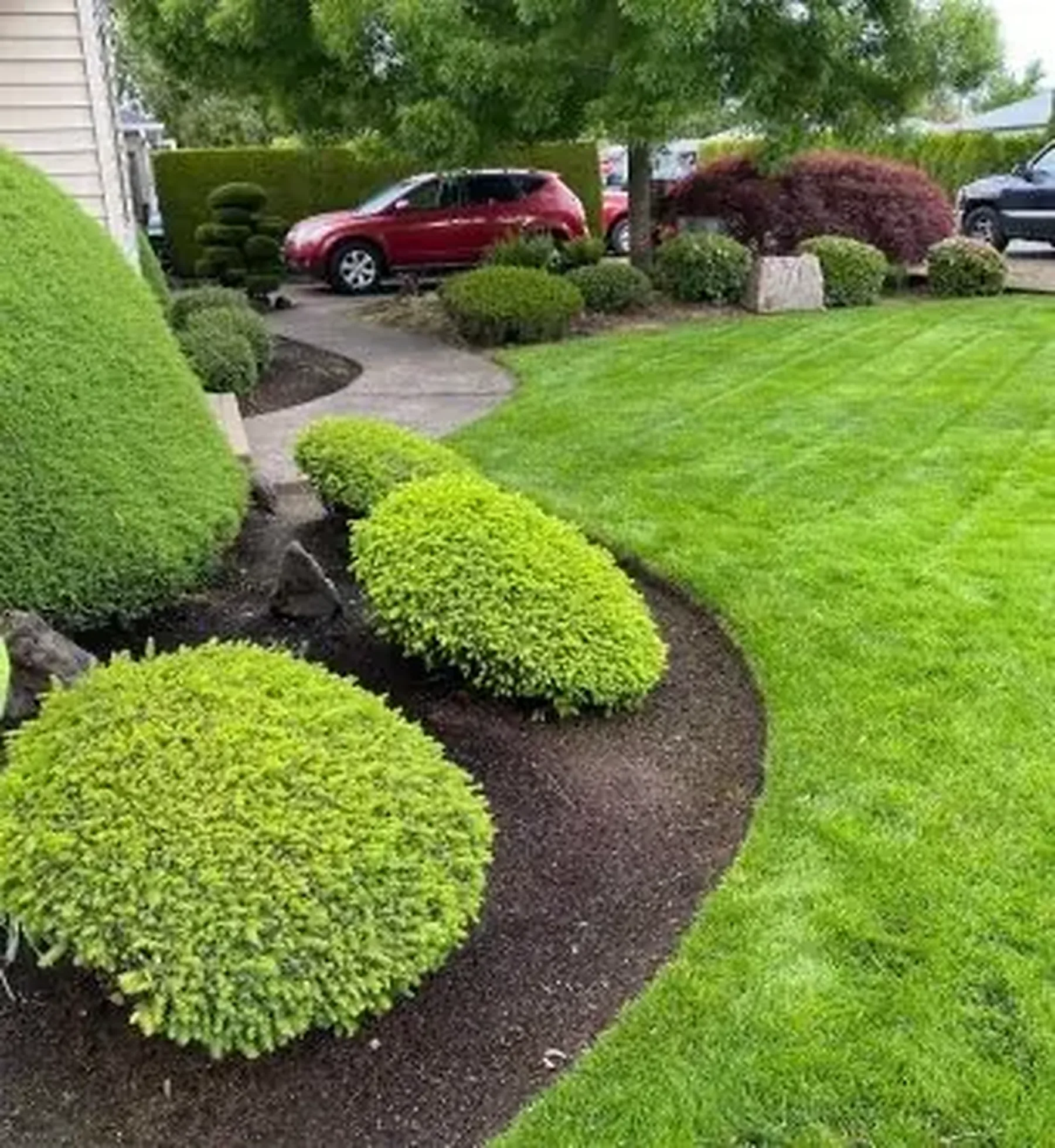 Yard cleanup in Stayton, Oregon