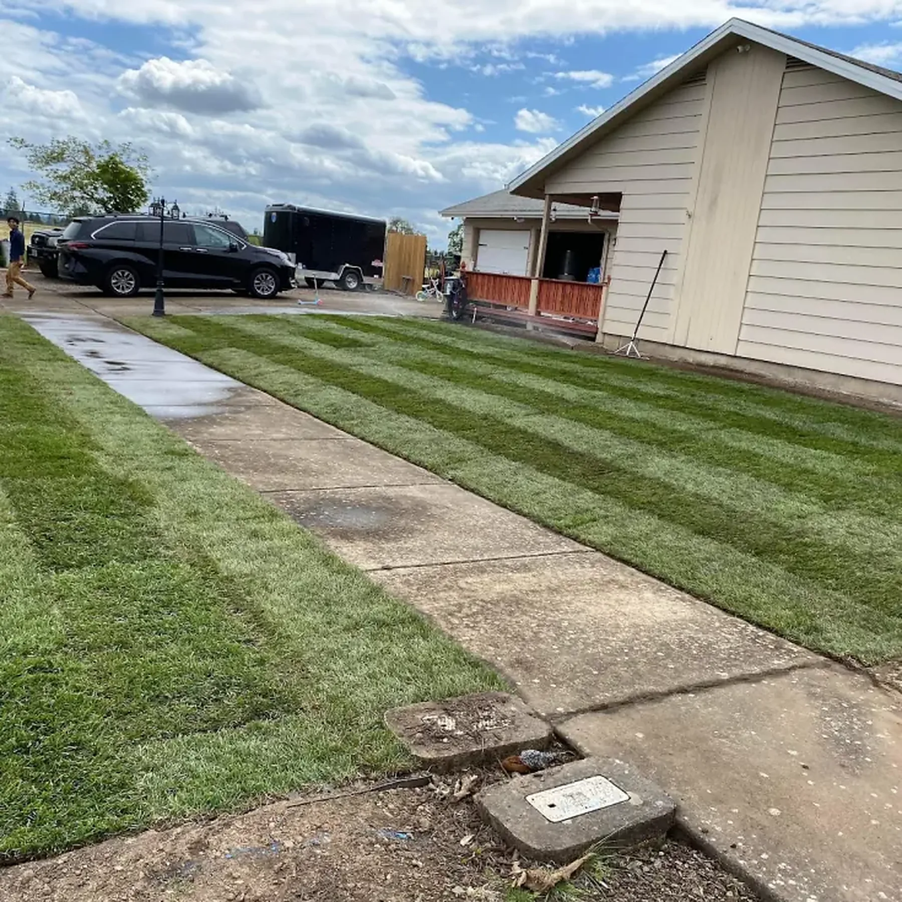 New lawn along a driveway