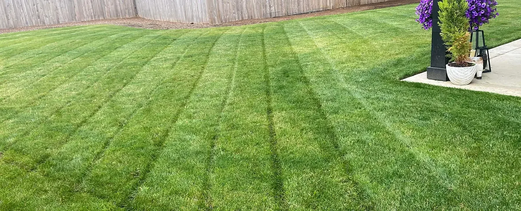Clean lawn after a backyard cleanup