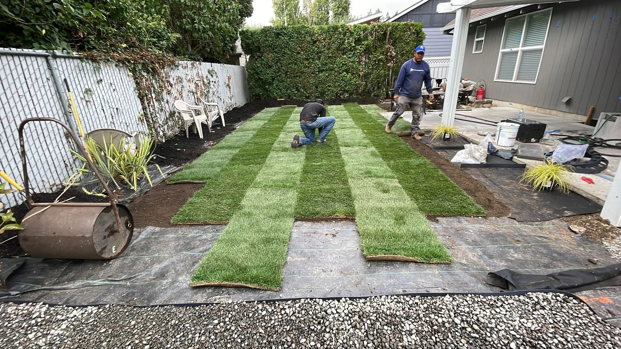 Jose's crew laying fresh sod rolls in a Salem backyard