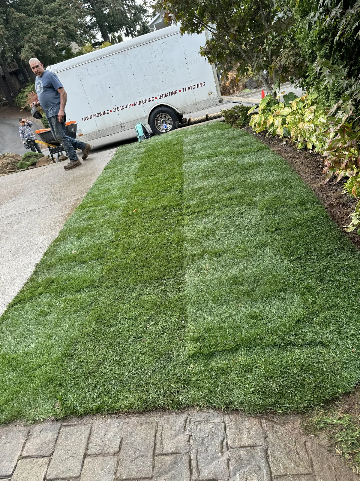 New sod in a front yard